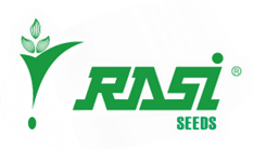 Career Logo