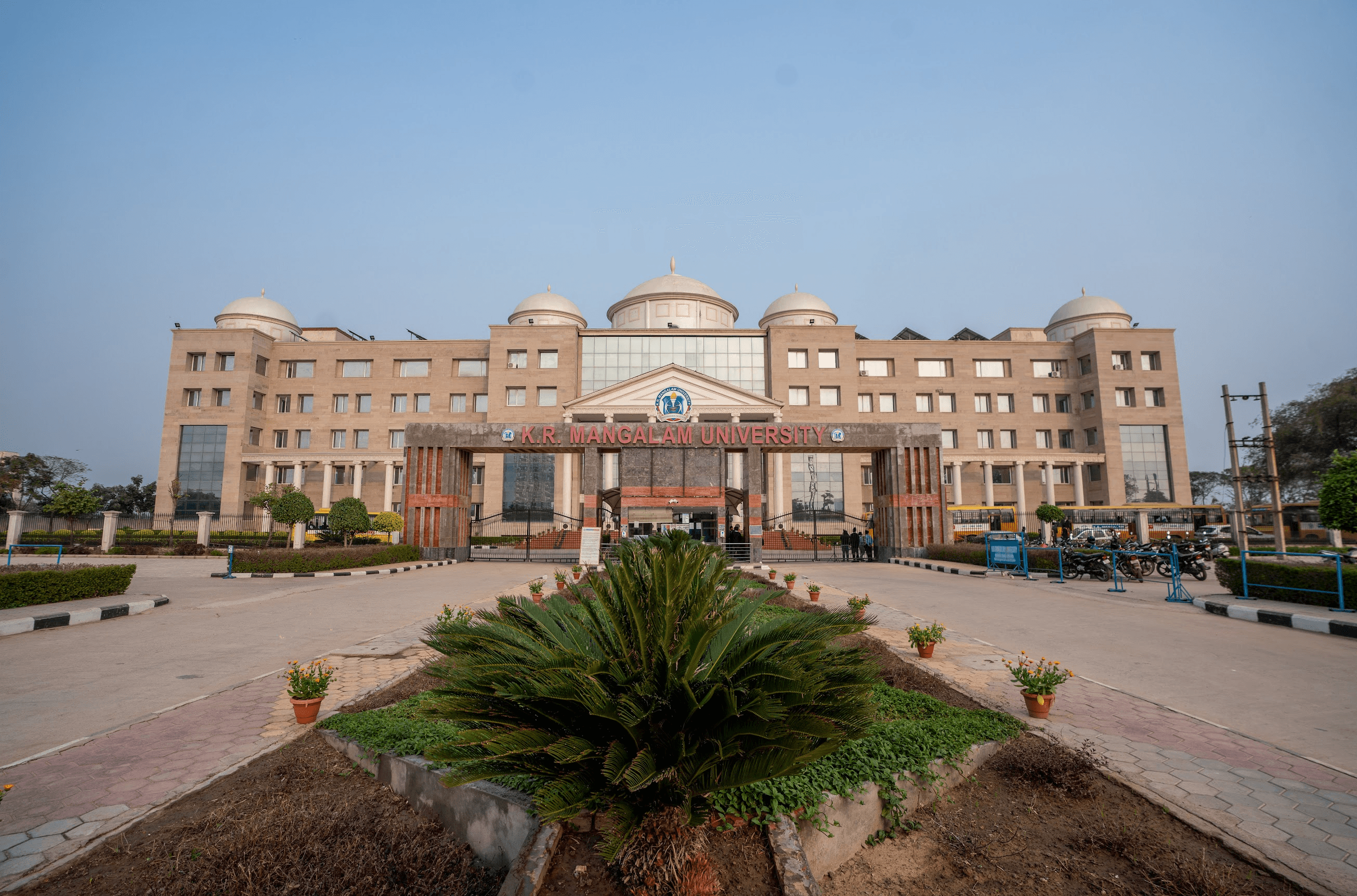 University Background