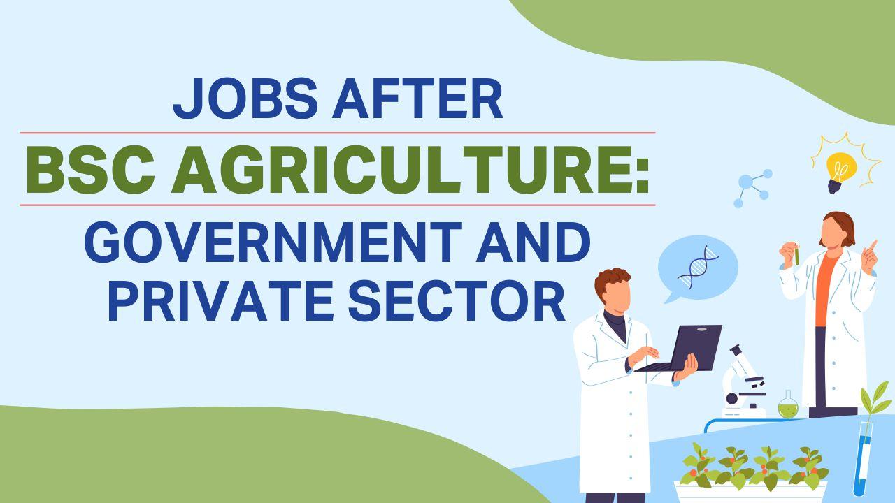 Jobs After BSc Agriculture: Government And Private Sector