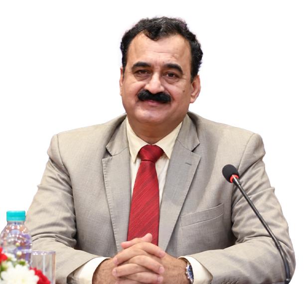 Pawan Duggal, Corporate Advisory Board