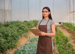 ba-hons-psychology-krmu