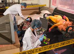 ba-hons-psychology-krmu