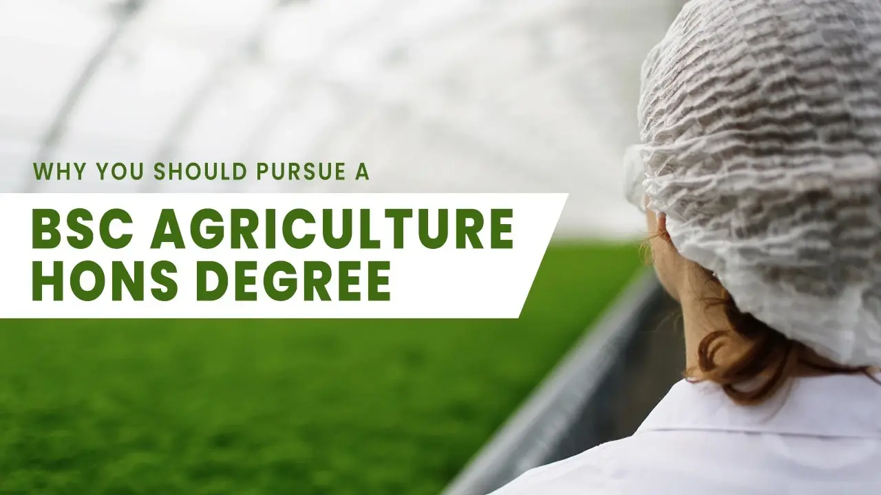 Why You Should Pursue a B.Sc. Agriculture Hons. Degree?