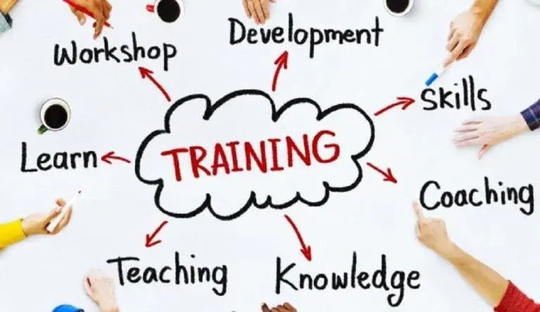 The Vitality Of Industry Training For Students