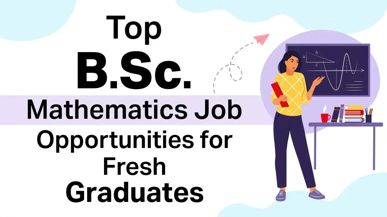 Top BSc Mathematics Job Opportunities for Fresh Graduates