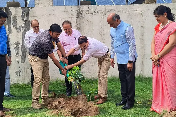 Plantation Drive