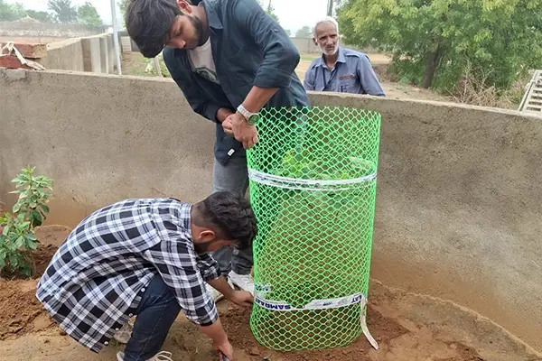 Plantation Drive