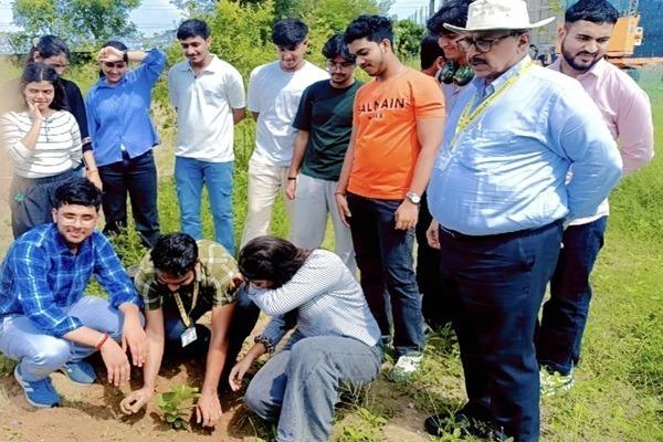 Green Roots Plantation Drive