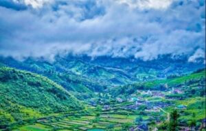 Elements of Indian Design