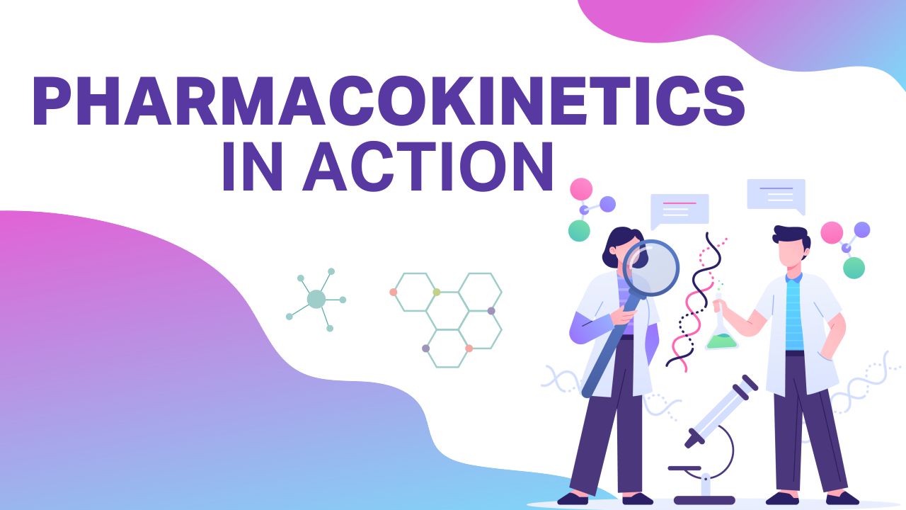 Pharmacokinetics in action: the science behind drug dynamics Pharmacokinetics