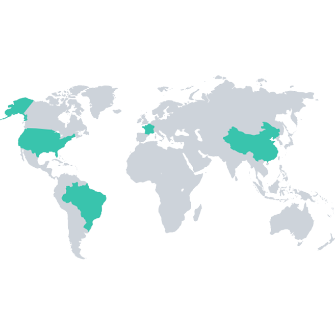 World Map Graphic