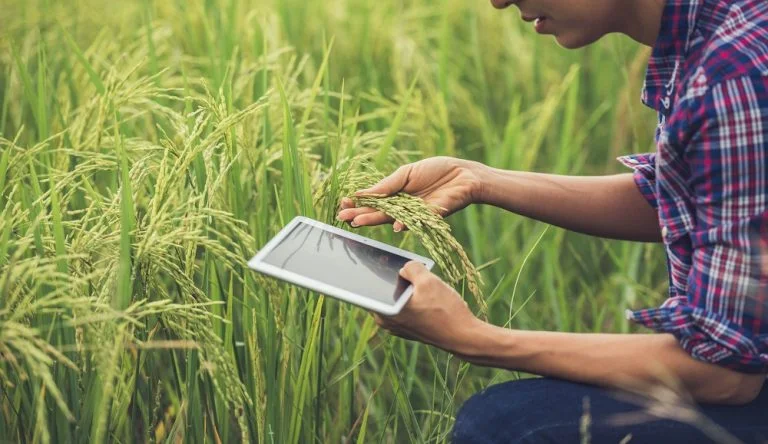 5 REASONS WHY AGRICULTURE IS A GREAT INDUSTRY TO WORK IN