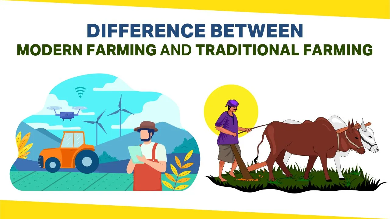 Difference Between Modern Farming And Traditional Farming