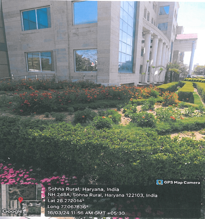 Greenery Around the Campus