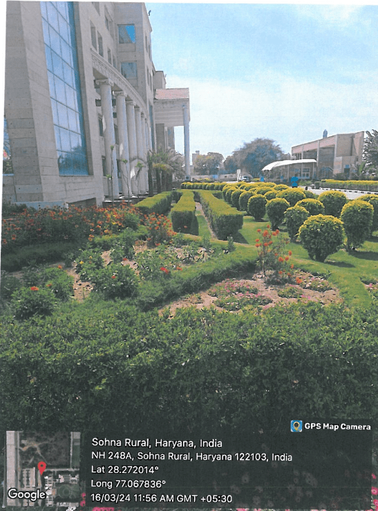 Greenery Around the Campus