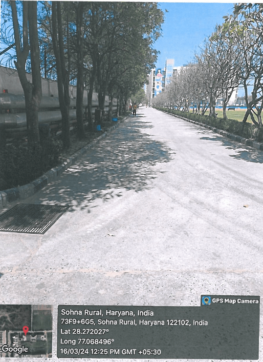 Greenery Around the Campus