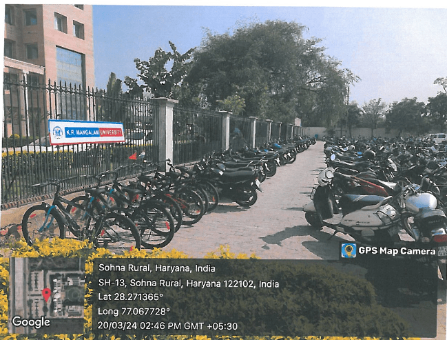 Greenery Around the Campus