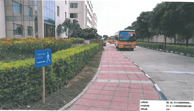 Greenery Around the Campus