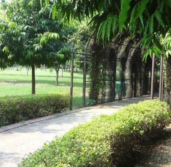 WhatsApp Image 2025-11-09 at 10.03.16